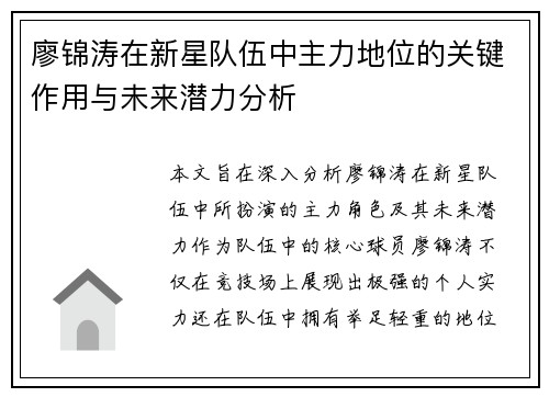 廖锦涛在新星队伍中主力地位的关键作用与未来潜力分析